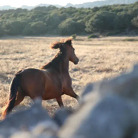 A Casetta Di Cavallo Morto Hébergement de vacances