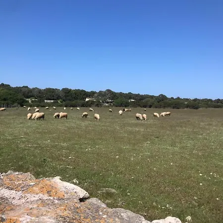 A Casetta Di Cavallo Morto