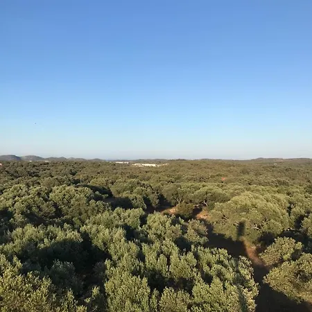 A Casetta Di Cavallo Morto Hébergement de vacances